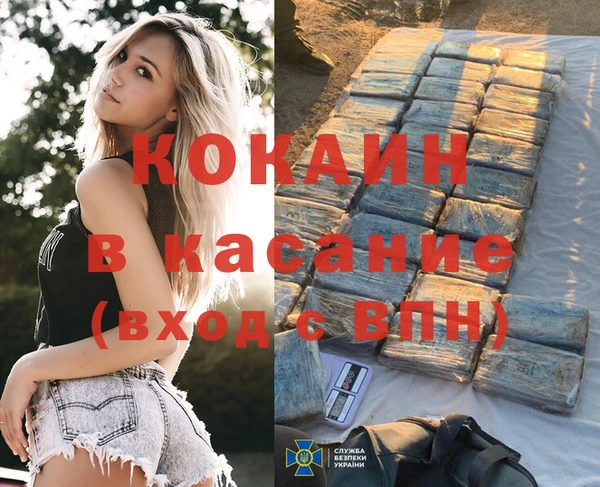 прущие грибы Елабуга