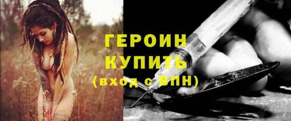 прущие грибы Елабуга