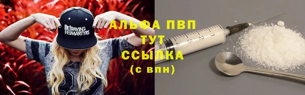 прущий лед Ельня