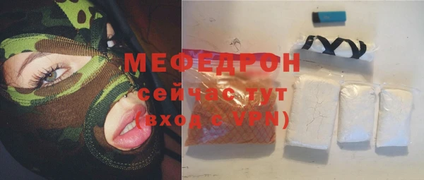 прущие грибы Елабуга