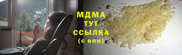 прущие грибы Елабуга