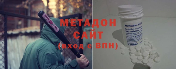 прущие грибы Елабуга