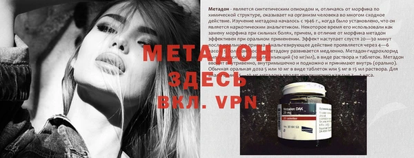 прущие грибы Елабуга