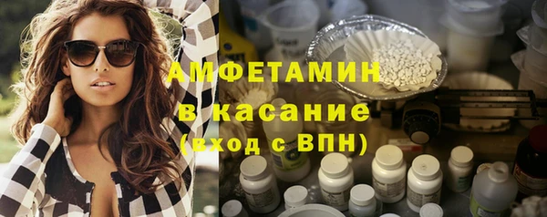 прущие грибы Елабуга