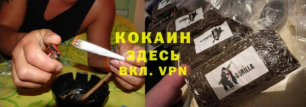 прущие грибы Елабуга