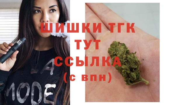 прущий лед Ельня