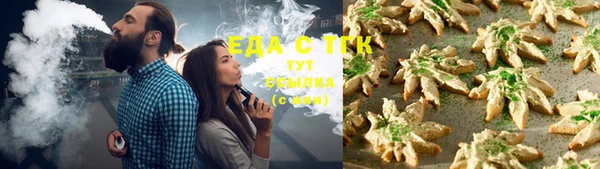 прущие грибы Елабуга