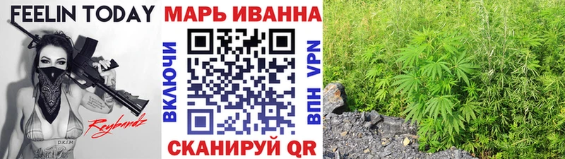 Купить где  Дегтярск  Марихуана ГИДРОПОН 
